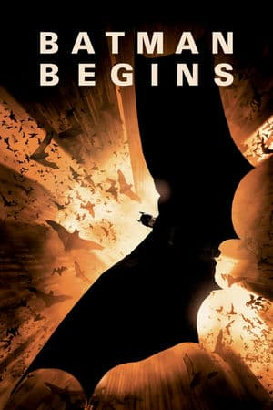 Người Dơi Xuất Hiện (2005) | Batman Begins (2005)