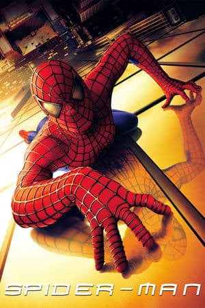 Người Nhện (2002) | Spider Man (2002)