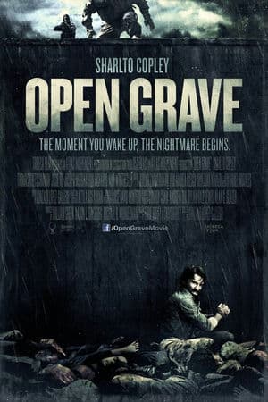 Quật Mộ (2013) | Open Grave (2013)