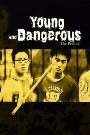 Người Trong Giang Hồ: Thiếu Niên Hạo Nam (1998) | Young And Dangerous: The Prequel (1998)