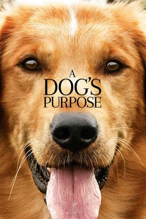 Mục Đích Sống Của Một Chú Chó (2017) | A Dog’s Purpose (2017)