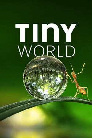 Thế Giới Siêu Nhỏ (2020) | Tiny World (2020)