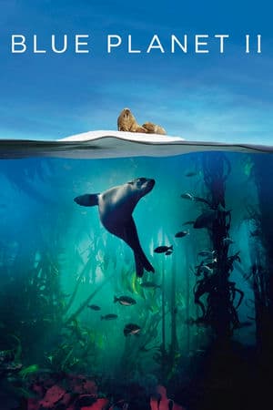 Hành Tinh Xanh 2 (2017) | Blue Planet 2 (2017)