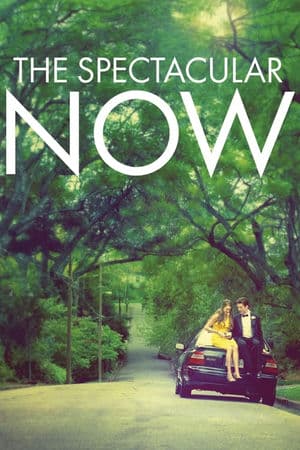 Thực Tại Hoàn Mỹ (2013) | The Spectacular Now (2013)