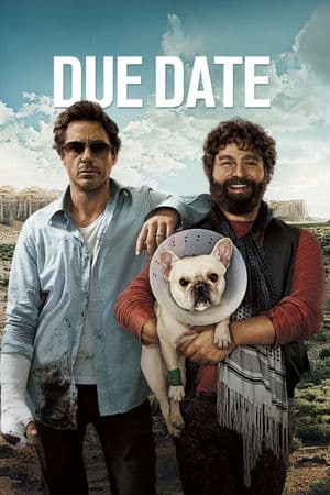 Đen Đủ Đường (2010) | Due Date (2010)