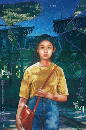 Tổ Của Chim Ruồi (2018) | House of Hummingbird (2018)