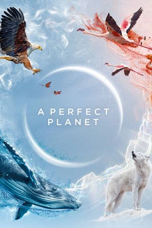 Hành Tinh Hoàn Hảo (2021) | A Perfect Planet (2021)