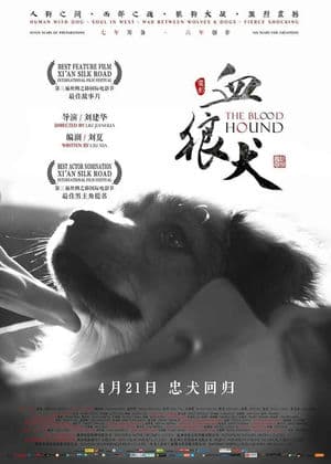 Chú Chó Anh Dũng (2016) | The Blood Hound (2016)