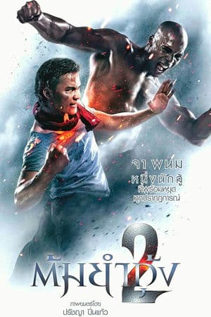 Người Bảo Vệ 2 (2013) | The Protector 2 (2013)