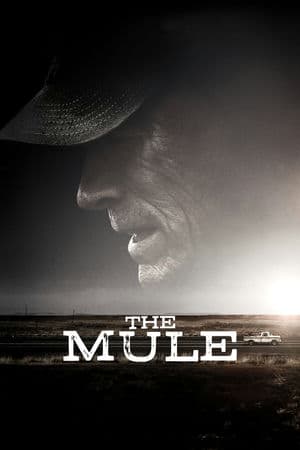 Già Gân (2018) | The Mule (2018)