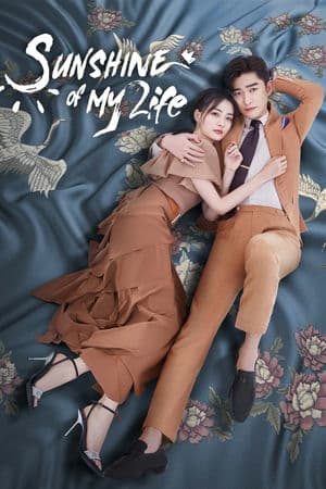 Nếu Em Bình An Đó Mới Là Ngày Đẹp Trời (2021) | Sunshine of My Life (2021)