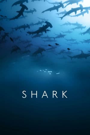 Cá Mập (2015) | Shark (2015)