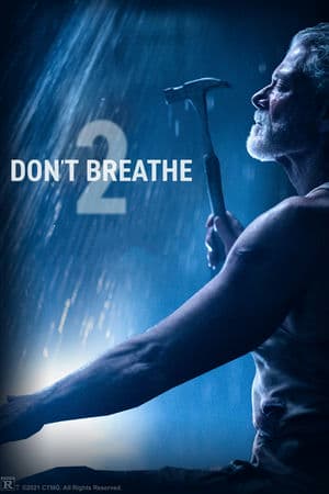 Sát Nhân Trong Bóng Tối 2 (2021) | Don’t Breathe 2 (2021)