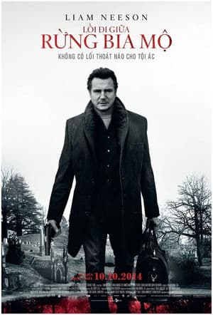 Lối Đi Giữa Rừng Bia Mộ (2014) | A Walk Among The Tombstones (2014)