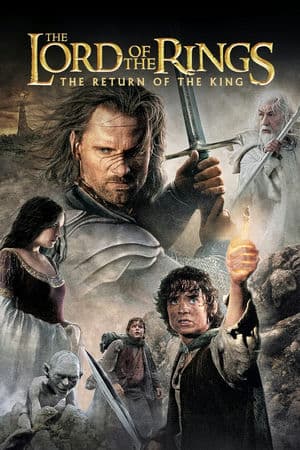 Chúa Tể Của Những Chiếc Nhẫn 3: Sự Trở Lại Của Nhà Vua (2003) | The Lord of the Rings: The Return of the King (2003)