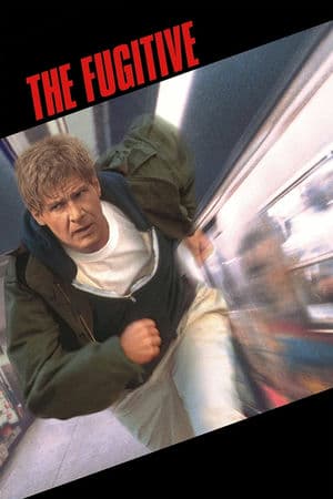 Kẻ Đào Tẩu (1993) | The Fugitive (1993)