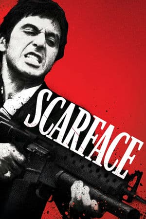 Ông Trùm Mặt Sẹo (1983) | Scarface (1983)