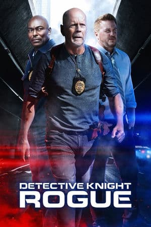 Thám Tử Knight: Giả Mạo (2022) | Detective Knight: Rogue (2022)