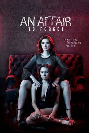 Quên Một Cuộc Tình (2022) | An Affair to Forget (2022)