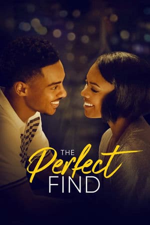 Phát Hiện Hoàn Hảo – The Perfect Find (2023) |