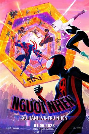 Người Nhện: Du Hành Vũ Trụ Nhện – Spider-Man: Across the Spider-Verse (2023) |